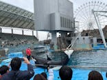 名古屋港水族館に投稿された画像（2022/2/13）