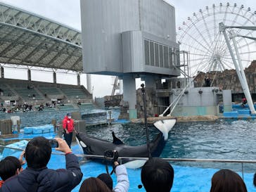 名古屋港水族館に投稿された画像（2022/2/13）