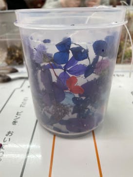 ずこうしつ〜sugamo〜に投稿された画像（2022/2/13）