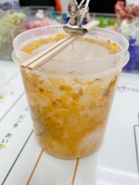 ずこうしつ〜sugamo〜に投稿された画像（2022/2/13）