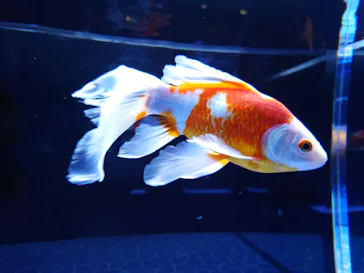 すみだ水族館に投稿された画像（2022/2/13）