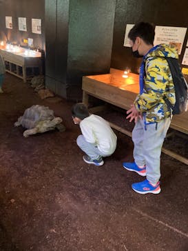 体感型動物園iZooに投稿された画像（2022/2/13）