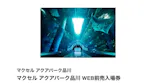 マクセル アクアパーク品川に投稿された画像（2022/2/13）