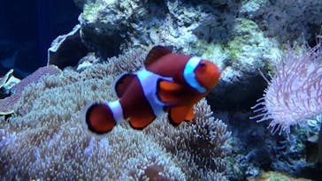 鴨川シーワールドに投稿された画像（2022/2/13）