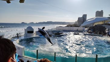 鴨川シーワールドに投稿された画像（2022/2/13）