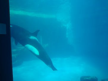 名古屋港水族館に投稿された画像（2022/2/13）