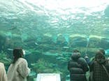 名古屋港水族館に投稿された画像（2022/2/13）