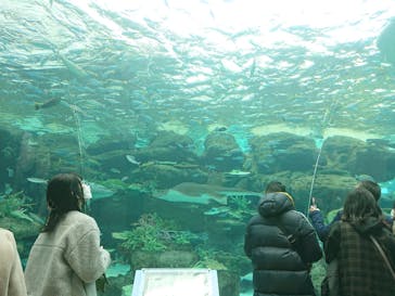 名古屋港水族館に投稿された画像（2022/2/13）