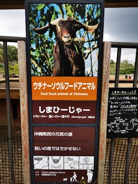 沖縄こどもの国に投稿された画像（2022/2/13）