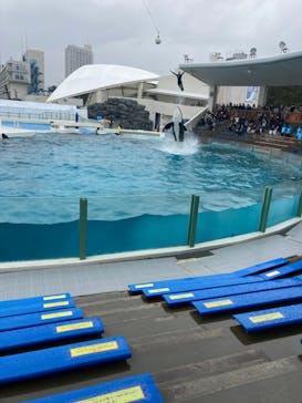 鴨川シーワールドに投稿された画像（2022/2/13）