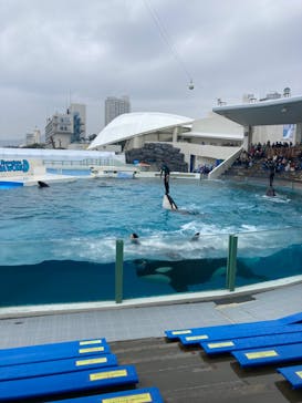 鴨川シーワールドに投稿された画像（2022/2/13）