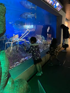 鴨川シーワールドに投稿された画像（2022/2/13）