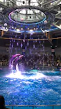 マクセル アクアパーク品川に投稿された画像（2022/2/13）