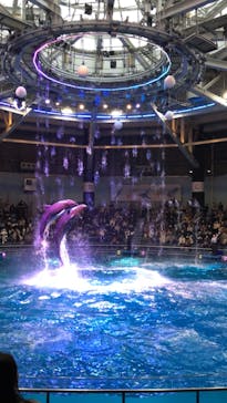 マクセル アクアパーク品川に投稿された画像（2022/2/13）