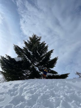 野沢温泉スキー場に投稿された画像（2022/2/13）