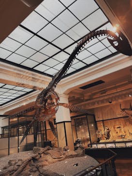 国立科学博物館に投稿された画像（2022/2/13）