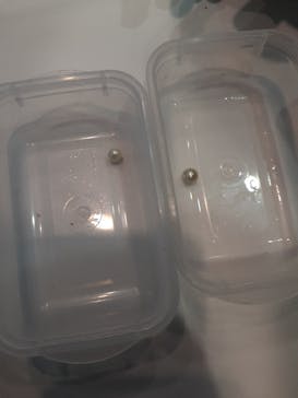 名古屋港水族館に投稿された画像（2022/2/13）