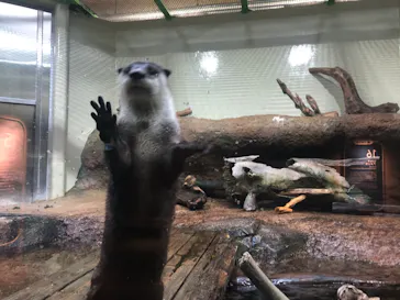 仙台うみの杜水族館に投稿された画像（2022/2/13）