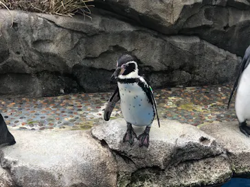仙台うみの杜水族館に投稿された画像（2022/2/13）