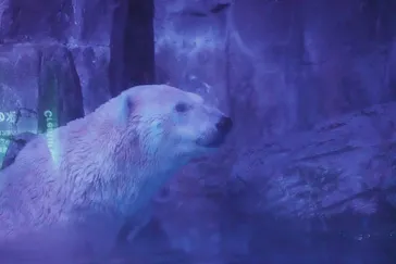 横浜・八景島シーパラダイスに投稿された画像（2022/2/13）