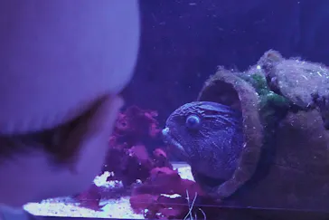 横浜・八景島シーパラダイスに投稿された画像（2022/2/13）