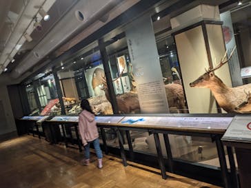 国立科学博物館に投稿された画像（2022/2/13）