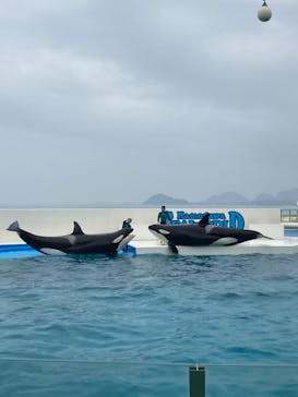 鴨川シーワールドに投稿された画像（2022/2/13）