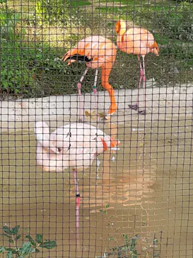 天王寺動物園に投稿された画像（2022/2/13）