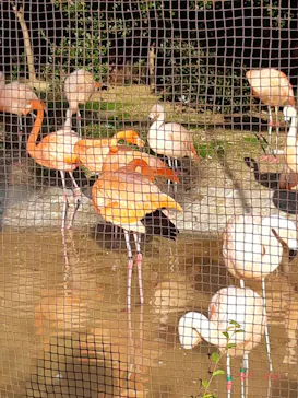 天王寺動物園に投稿された画像（2022/2/13）