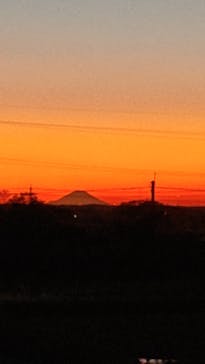 成田の命泉　大和の湯に投稿された画像（2022/2/13）