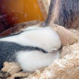 神戸どうぶつ王国に投稿された画像（2022/2/14）