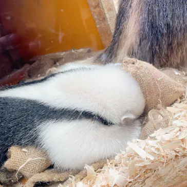 神戸どうぶつ王国に投稿された画像（2022/2/13）