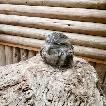 神戸どうぶつ王国に投稿された画像（2022/2/13）