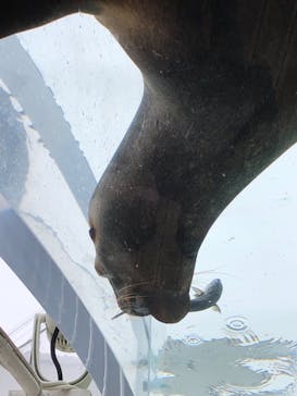 サンシャイン水族館に投稿された画像（2022/2/13）