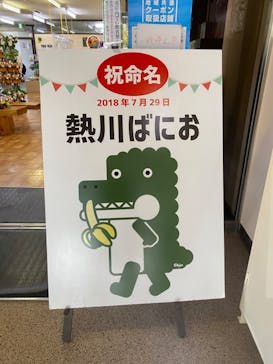 熱川バナナワニ園に投稿された画像（2022/2/14）