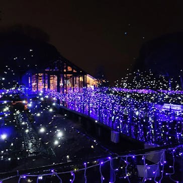 江の島シーキャンドルに投稿された画像（2022/2/14）