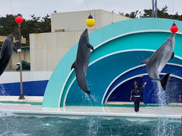 鴨川シーワールドに投稿された画像（2022/2/14）