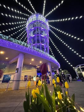 江の島シーキャンドルに投稿された画像（2022/2/14）