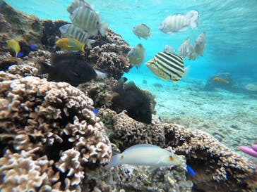 武藤潜水に投稿された画像（2022/2/14）