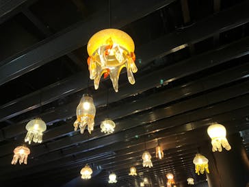 京都水族館に投稿された画像（2022/2/14）