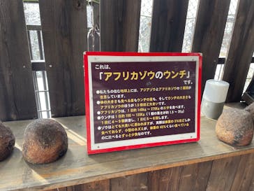 那須サファリパークに投稿された画像（2022/2/14）