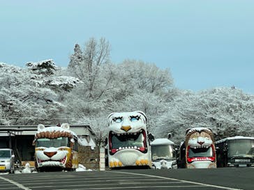 那須サファリパークに投稿された画像（2022/2/14）