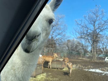 那須サファリパークに投稿された画像（2022/2/14）