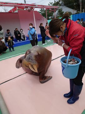 ゼロ距離水族館 伊勢シーパラダイスに投稿された画像（2022/2/14）