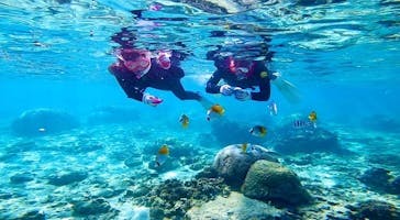 武藤潜水に投稿された画像（2022/2/14）