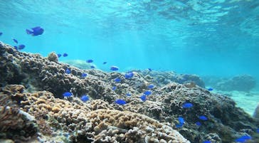 武藤潜水に投稿された画像（2022/2/14）