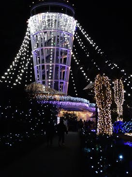 江の島シーキャンドルに投稿された画像（2022/2/14）