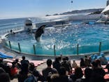 鴨川シーワールドに投稿された画像（2022/2/14）