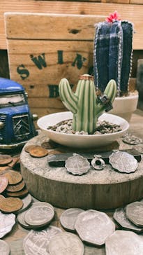 SWING BY（スウィング バイ）に投稿された画像（2022/2/14）