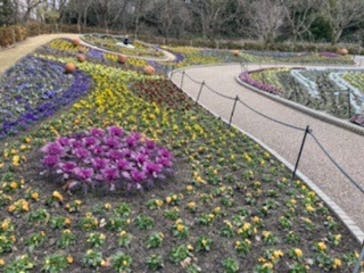 安城産業文化公園デンパークに投稿された画像（2022/2/14）